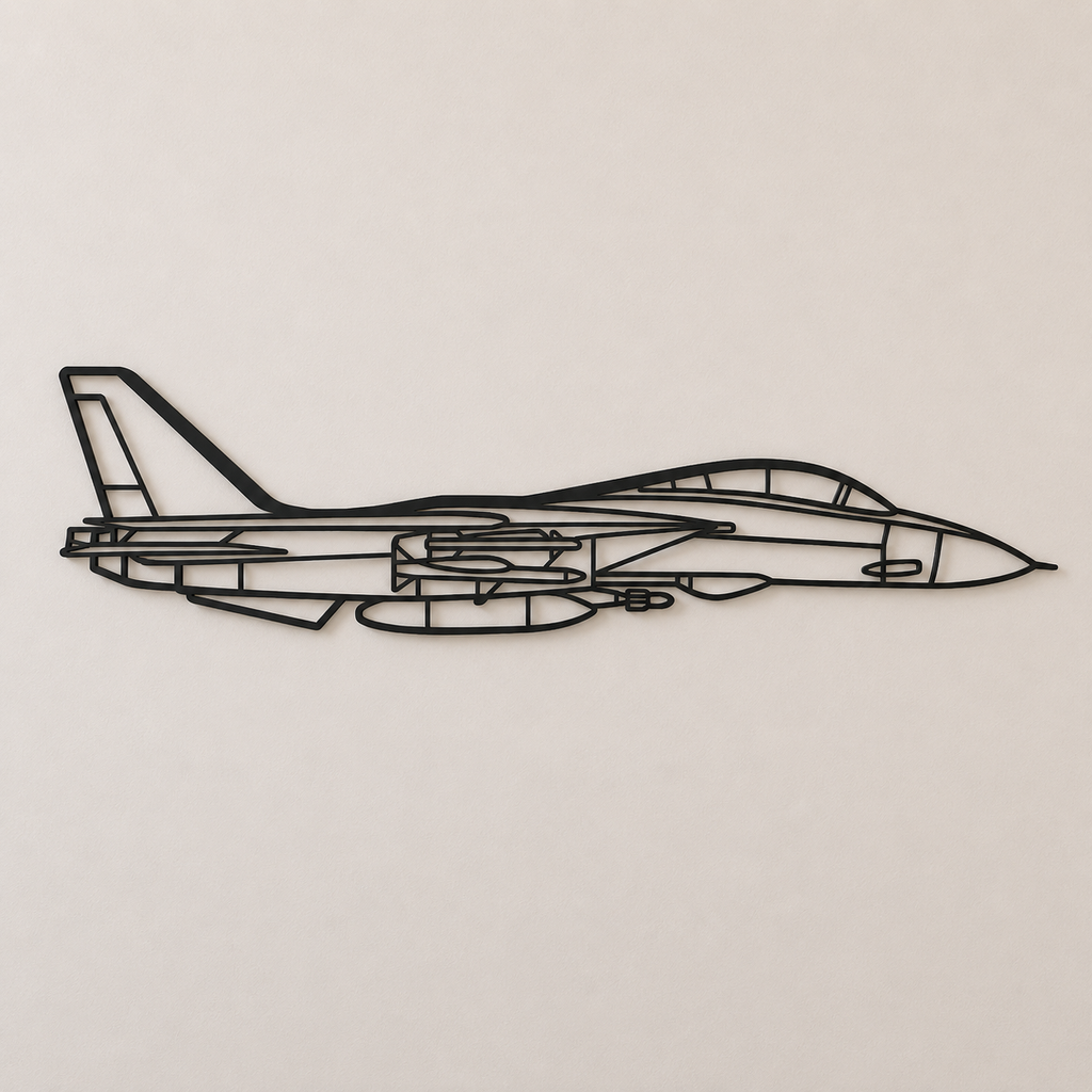 F-14 Tomcat Wall Art