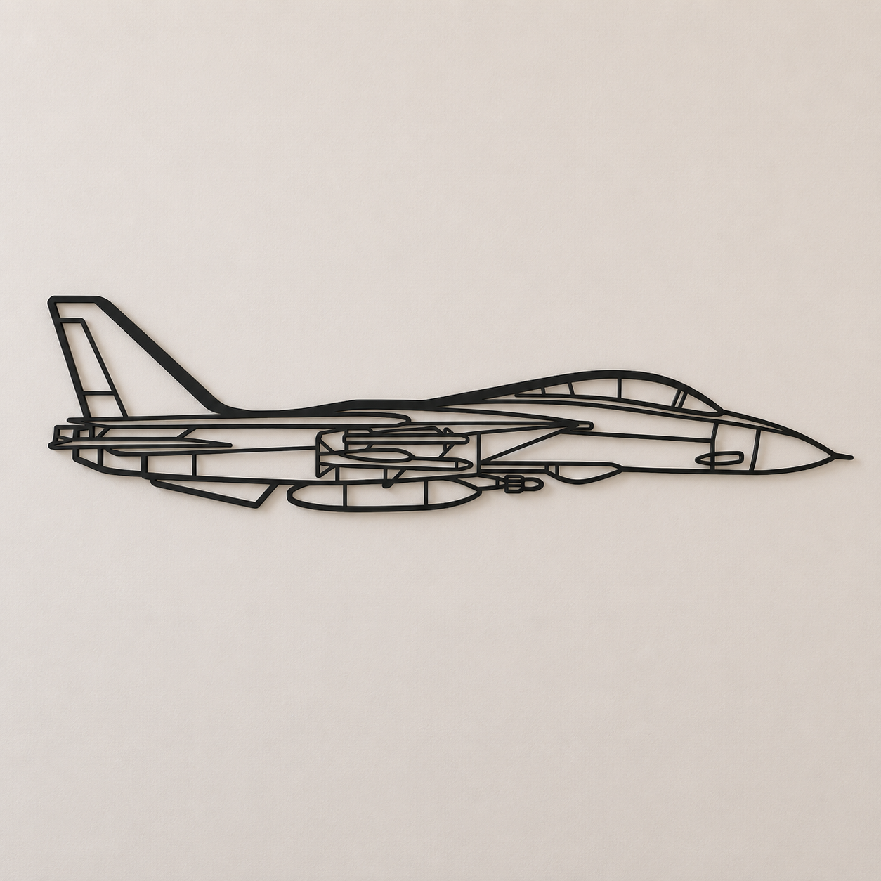 F-14 Tomcat Wall Art