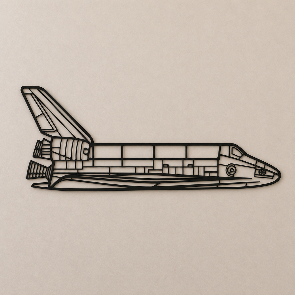 Space Shuttle Orbiter Wall Art